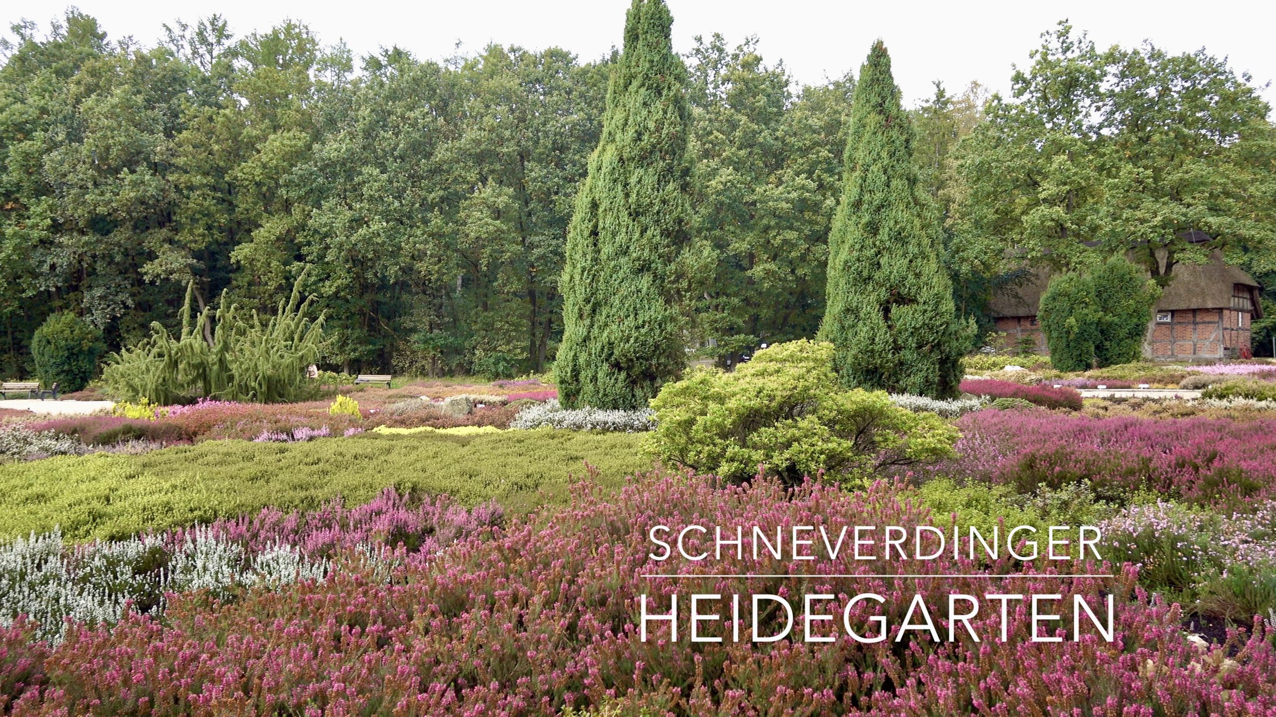 Heidegarten Schneverdingen Gartentipp